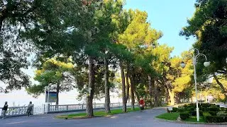 ГЕЛЕНДЖИК... Я СНОВА С ТОБОЙ... 25 октября 2019...