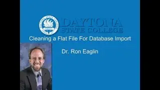 Database - Cleaning a Flat File For Database Import