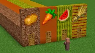 what does a villager like ?