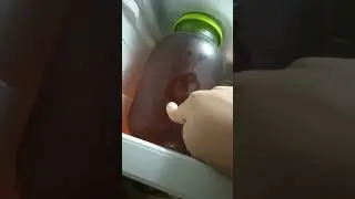 7 июля 2024 г.