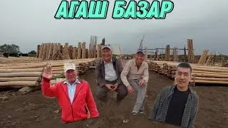 Шымбай Агаш базар / Агаш канша болды / 01.05.2022