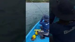 Why are fishermen afraid of this?