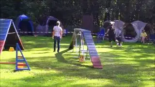 Agility Turnier in Bochum - Sandy & Motte