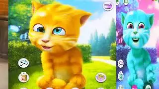 Talking Ginger Funny Tom and Cat Animations Fun Colours Colors  2018 Cartoon 2017 learrn kids