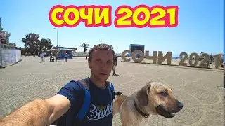 Съездил с Пэксом в Сочи 2021