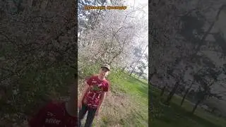Апрельский #краснодар #весенний