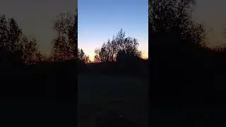 весна природа шепчет! Хор пение птиц!