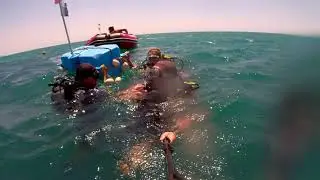 Дайвинг анапа витязево 2019