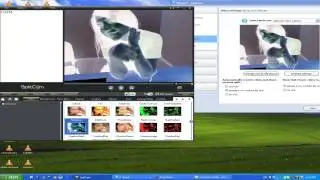 SplitCam Webcam Effect Video Negative Filter