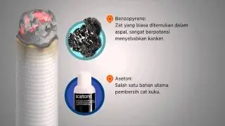 Rahasia Dibalik Hisapan