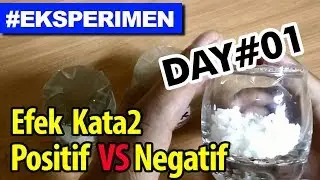 Eksperimen kata-kata positif / negatif | 