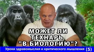 Может ли технарь 