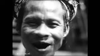 Uit Borneo's oerland