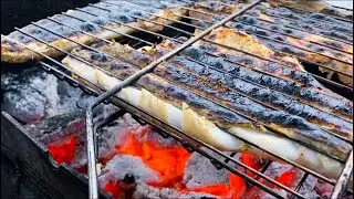 Мурманская треска на мангале. Северная кухня
