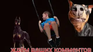 доберман и маленькие дети