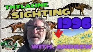 Thylacine sighting, North-west Tasmania 1996, with 
