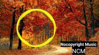 DayFox - Riding The Wave Free music  ( NoCopyright Music NCM) Best 10