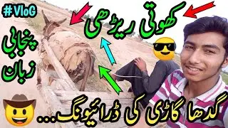 گدھا گاڑی کی ڈرائیونگ...🤠 | کھوتی ریڑھی...😂 | پنجابی زبان میں...😎