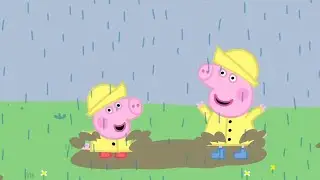 Heo Peppa | Ngày mưa | Phim Hoạt Hình Cho Trẻ Em