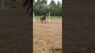 Джозефина ,50 см