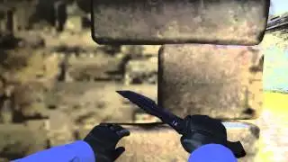 Ninja in action
