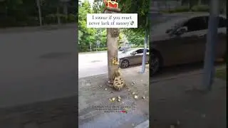 children effort to earn money #motivation