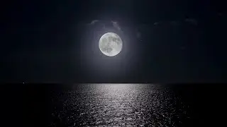 🔴 Deep Sleep Music 24/7, Calming Music, Insomnia, Sleep, Relaxing Music, Study, Sleep Meditation