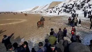 👍👍👍👍БУЗКАШИ ШАХРИСТОН МУКИР  11.02.2023 МУХТОР ДОСТИМ МАРА СОЛДИ👍👍👍👍