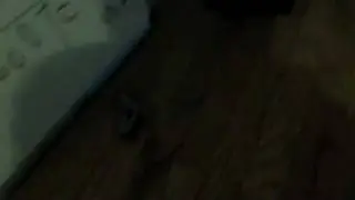 HexBug Nano Revoulution