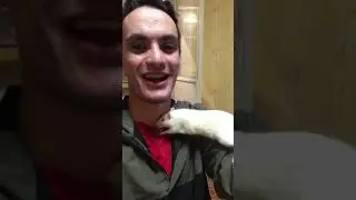 Ахриненная крыса, ручная и игривая)