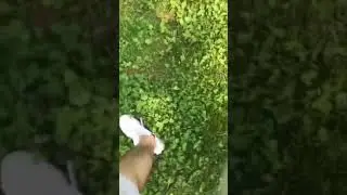 1 час 