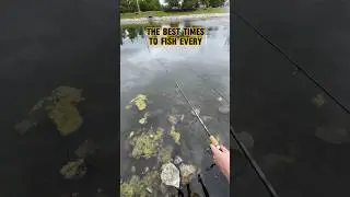 The BEST TIMES To Fish For EVERY Season!! 🎣 