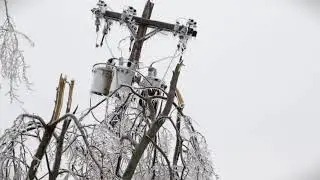 Utility Pole Violations: Environmental Conditions