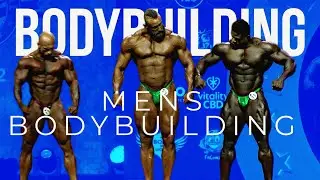 Mens Bodybuilding - Bodybuilding Competition Highlights 2023