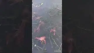 Только скажи где ты находишься 😂