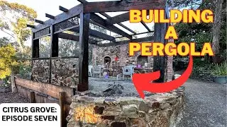 Making a Citrus Grove [PART SEVEN]: Building a Pergola