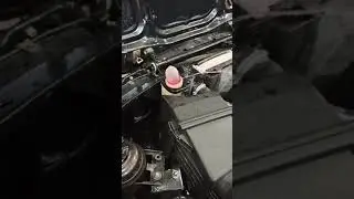 писающая бмв 1