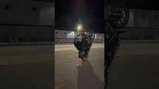 Giant Harley Davidson Wheelie