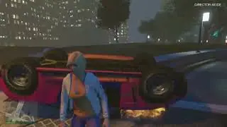 GTA Free Roam in director mode