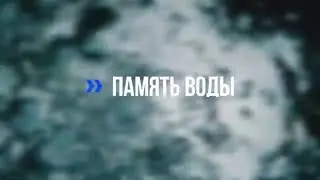 Память воды | Мозговедение
