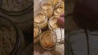 Гороховая каша с копчёными ребрами в автоклаве. Заготовка для горохового супа.