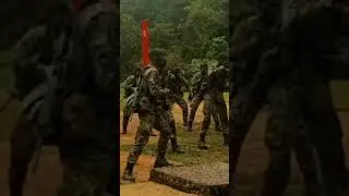 #tdm