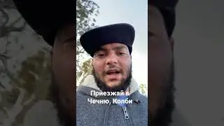 Еврей про Хамзата Чимаева и Колби Ковингтона | Слухи ЮФС 