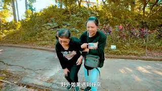 尖山埤旅遊安全 180秒版本