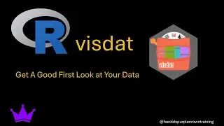 R VisDat: Get A Good Look at Your Data