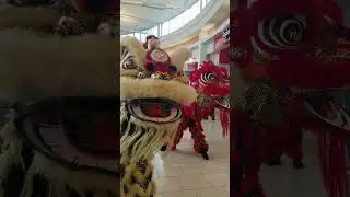 Grand opening Vietnamese restaurant Pho and Dough #grandopening #vietnamese #dragondance #food #mall