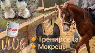 VLOG|часть1|хожу из угла в угол 24 часа челлендж|рутина|как я лечу мокрецы