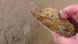 СЕЗОН ОТКРЫТ