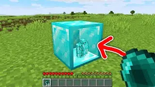 Minecraft, but I CAN ENTER ANY BLOCK!