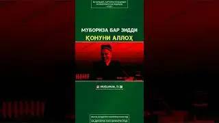 Мубориза бар Зиди Конуни Аллох